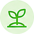 Growth